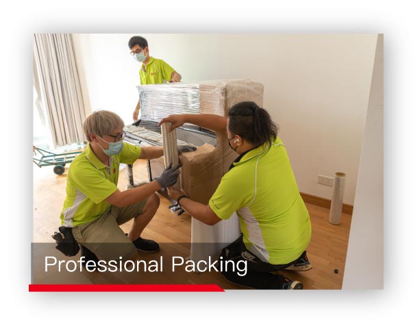 professional packing